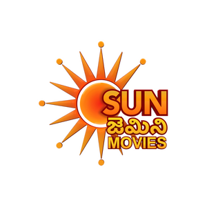 Sun Gemini Movies logo