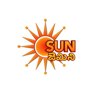 Sun Gemini logo
